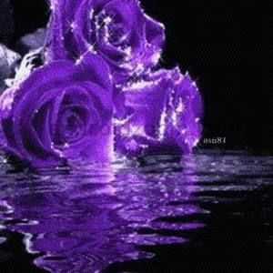 Meet your Posher, Gabby